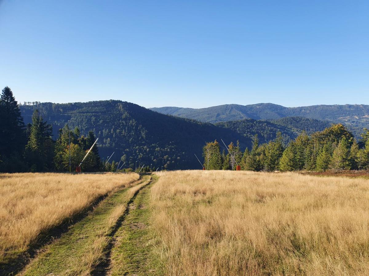 Marleski & Sauna Szczyrk Exteriör bild